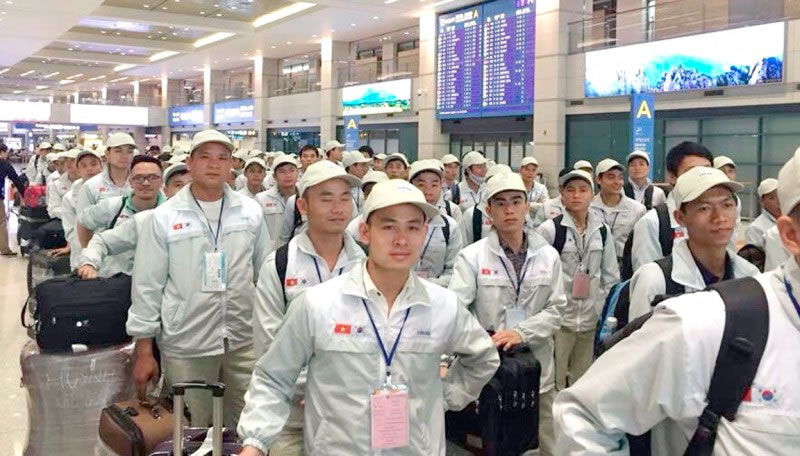 Phấn đấu đưa 130.000 lao động đi làm việc ở nước ngoài